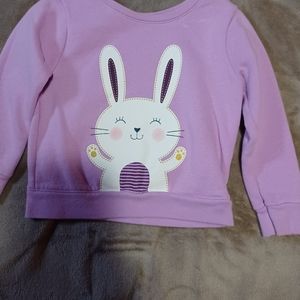 Toddler girls sweat shirt